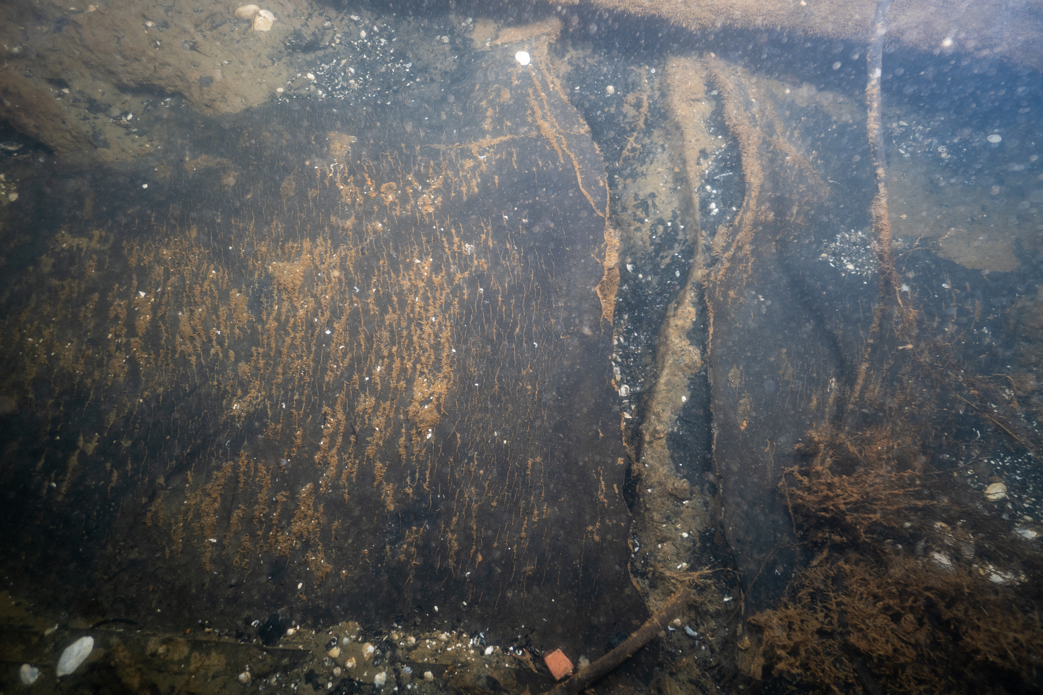 2.Crack in the U-1105’s stbd saddle tank exposing edges of Alberich. An Alberich sample was collected from the left side of the crack. 