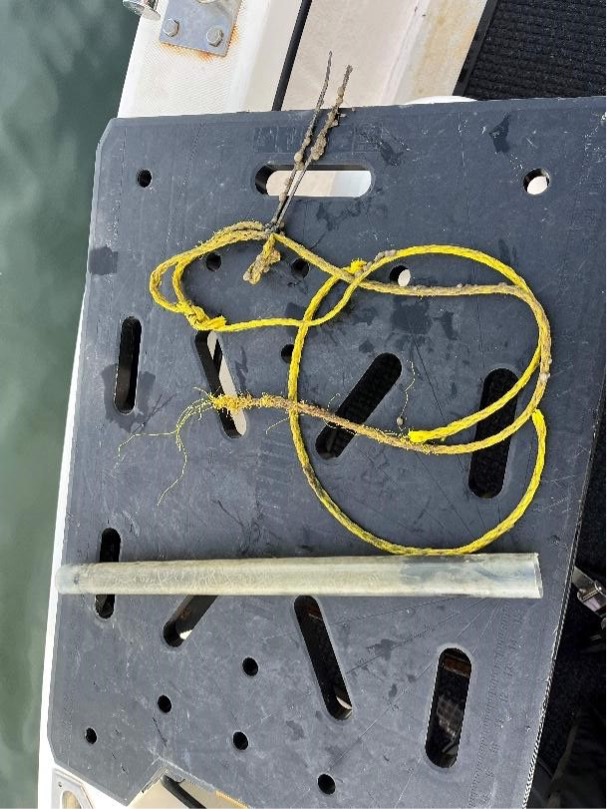 The recovered U-boat diver floats and line, and the line remnant recovered from the search periscope on 26 OCT. After 18 months tied into the U-boat tower the line chaffed through at the top of the bridge. Photos: Ops Coordinator
