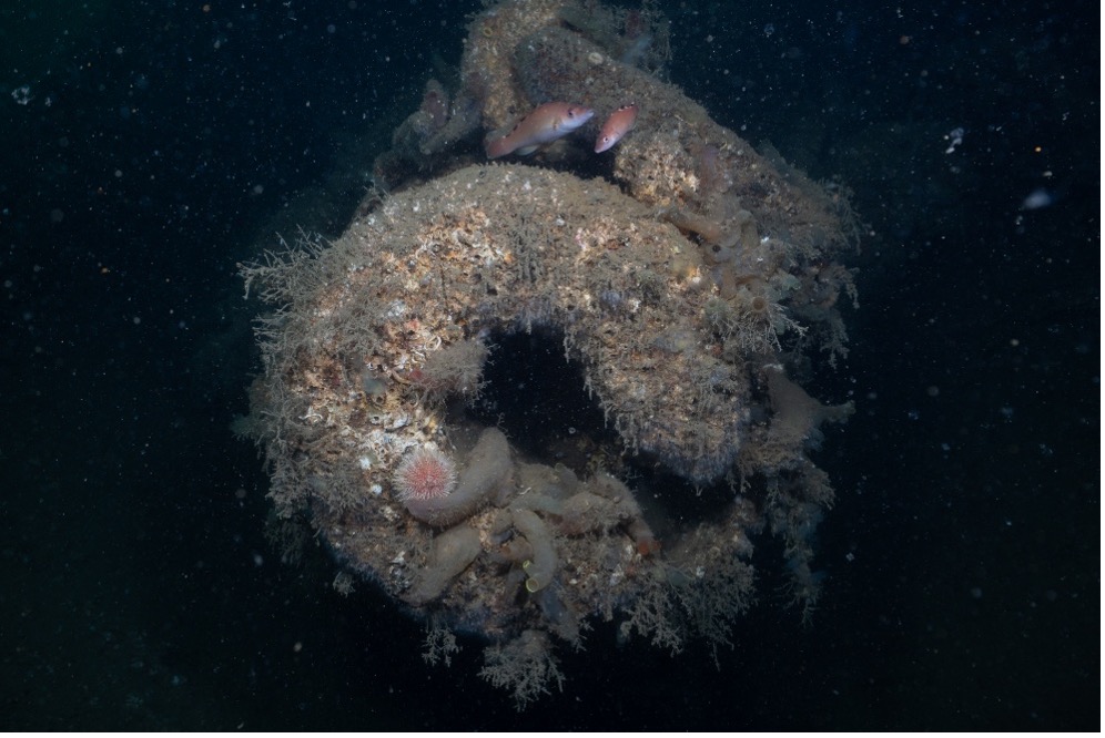 Breech of a 5.9 inch casemate gun on the light cruiser SMS Dresden.