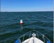 Buoy on station for 2026 dive season. Diver floats and temporary ball visible upriver.